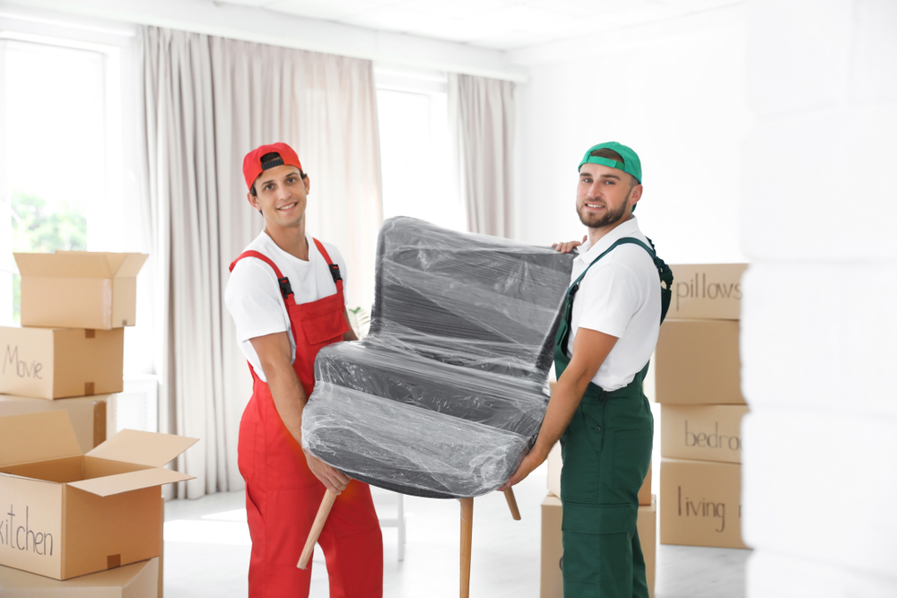 movers in maitland